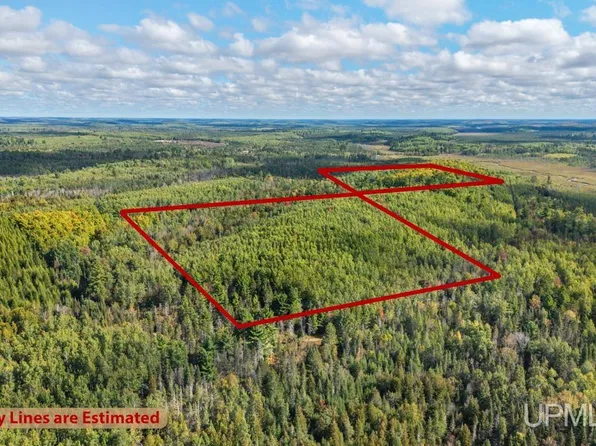 5321 County Line Rd #569, Perronville, MI 49873
