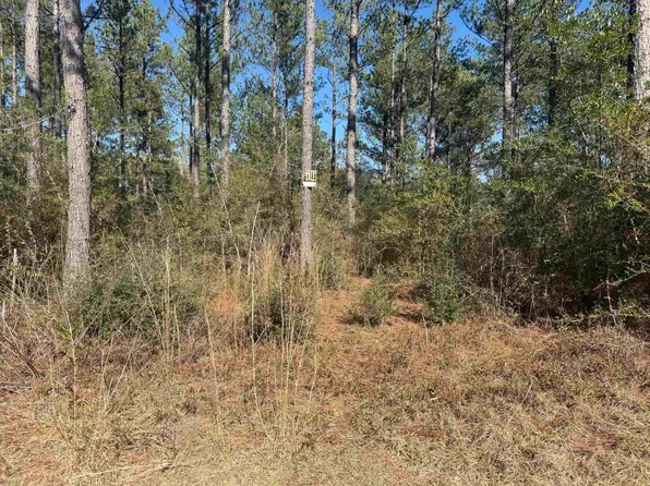 LOT 74 Harbor Rd, Andalusia, AL 36421