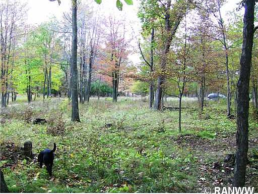 5th image of Lot 33 Mann Road