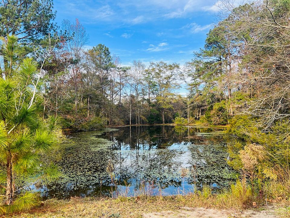 Beautiful Pond!