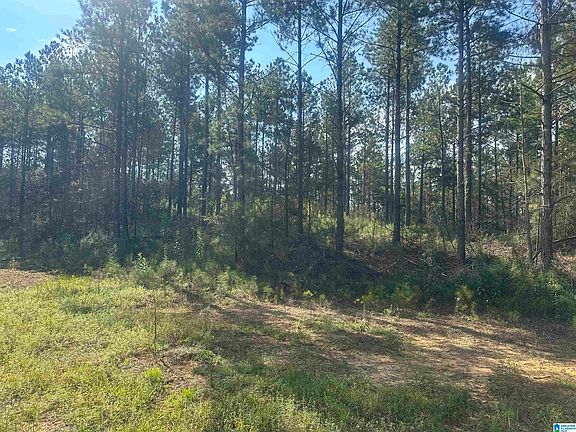 4th image of 0 County Road 336 #Na