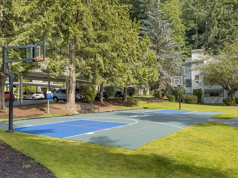 Basketball Court
