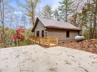 1310 Hidden Lake Dr, Cherry Log, GA 30522