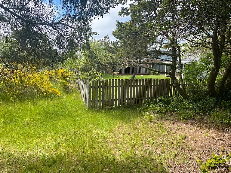 273 Ocean Shores Blvd NW — Photo 19