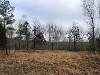 0 Nine Mile Ridge Rd, Duck River, TN, 38454