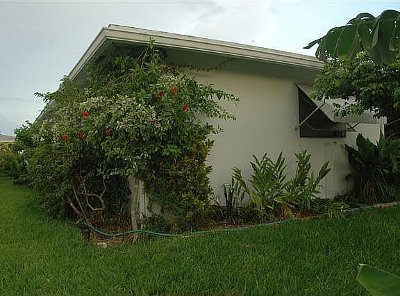 NW corner of property