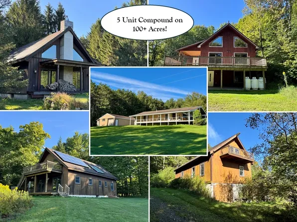 175 Hovick Rd, Hartwick, NY 13348