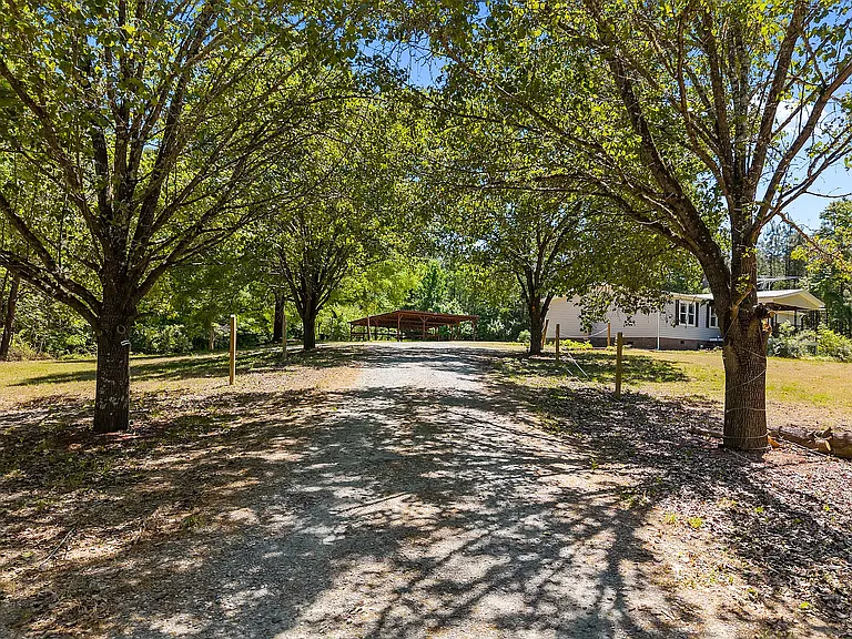 290 Thomas Cash Rd — Photo 22