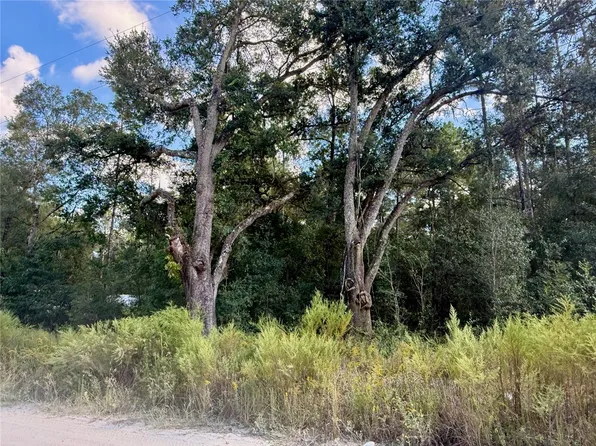 0 SW 16TH PLACE, OCALA, FL 34481