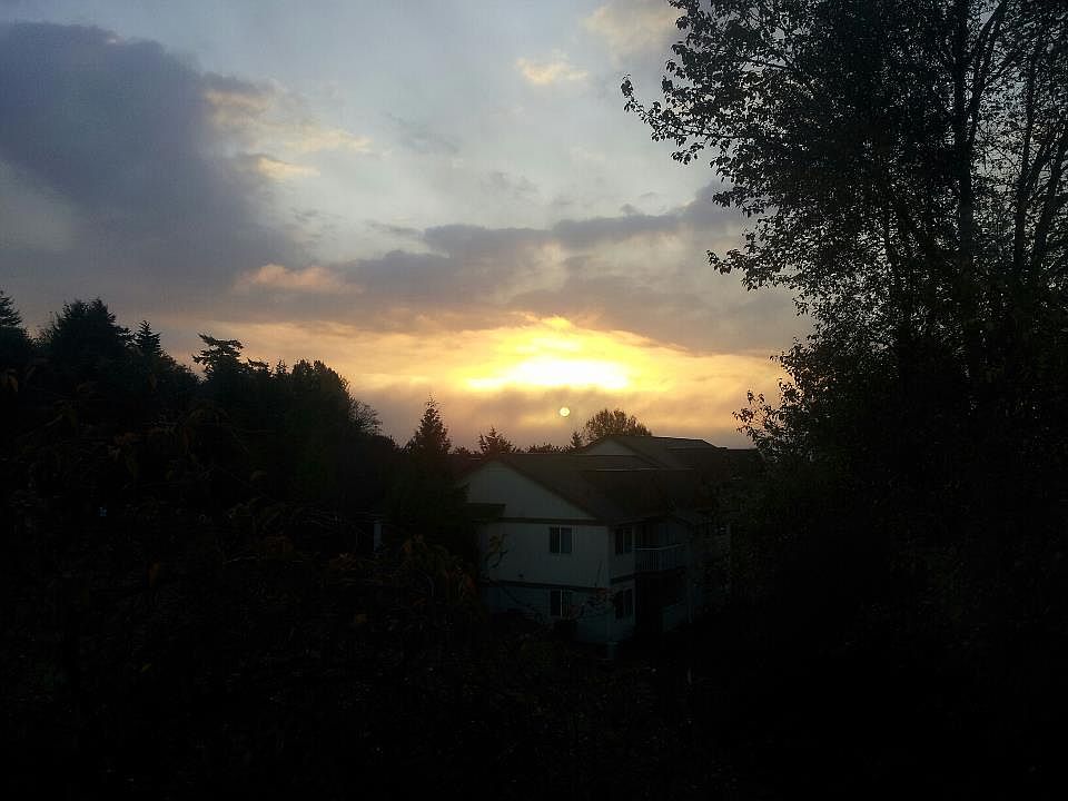 Scenic sunset