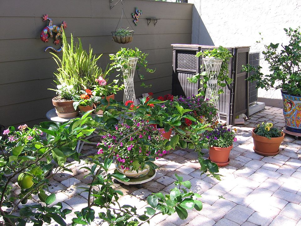 Courtyard