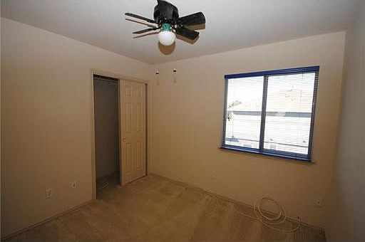 5th image of 229 Lollipop Ln