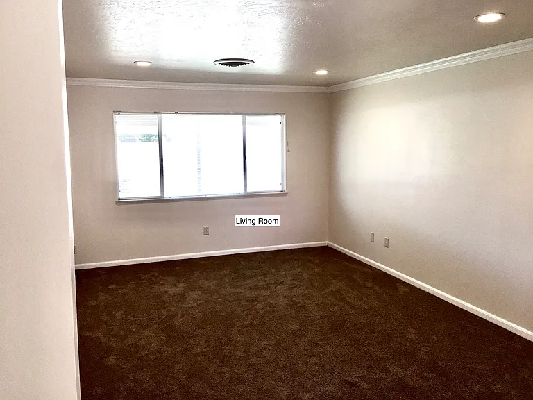 425 Peg St — Photo 15