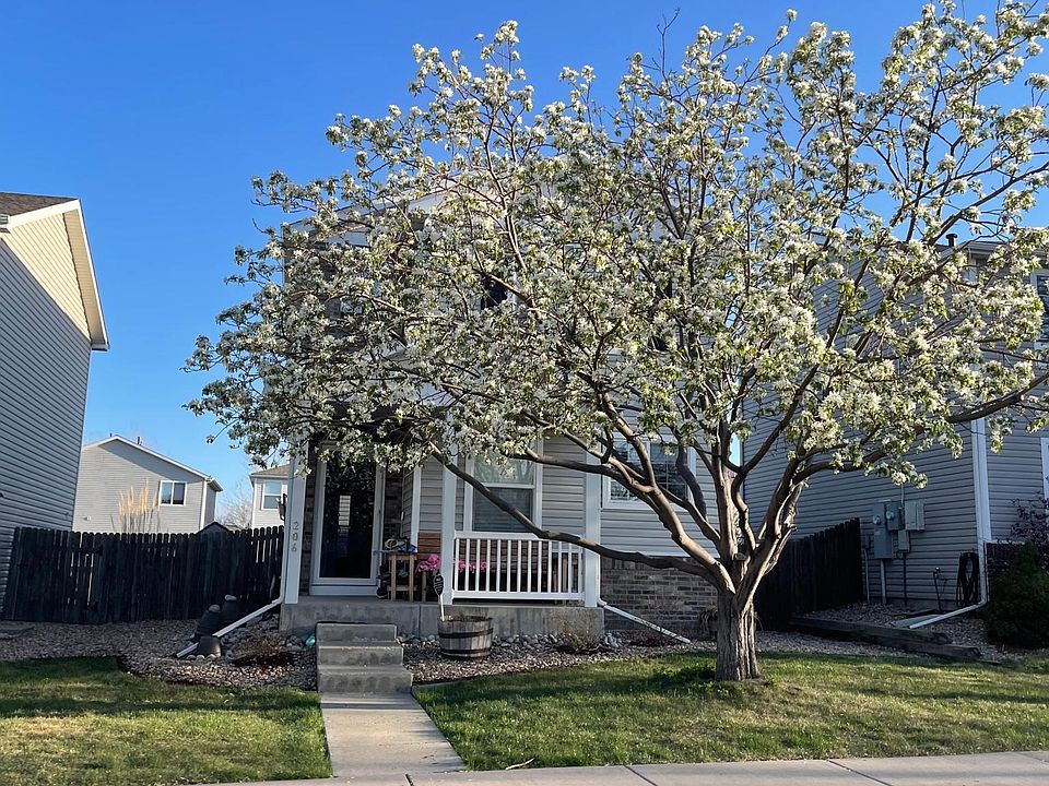 Front view of home in the summer. Nice fruitless snow crab tree provides a lot of shade.