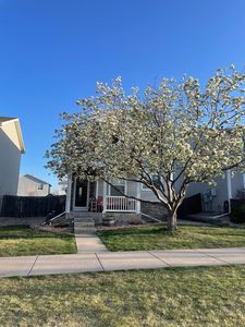 10700 Kimblewyck Cir, Northglenn, CO, 80233