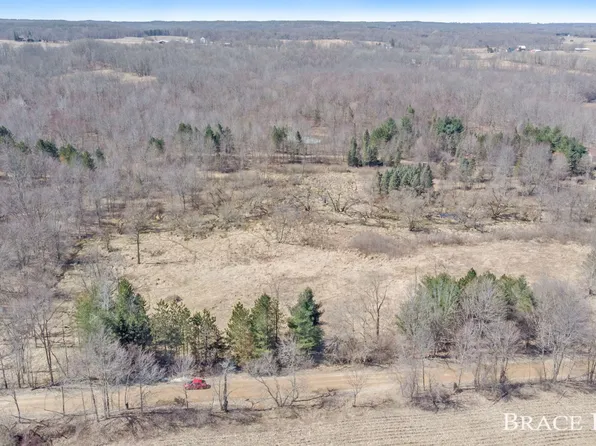 6745 Hammond Rd, Hastings, MI 49058
