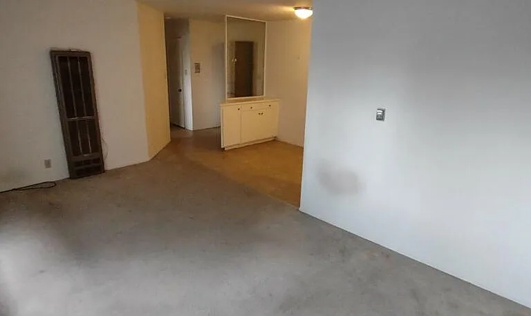 Living room, entrance