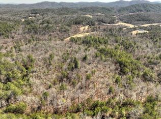 484AC Lofty Hts, Mineral Bluff, GA 30559