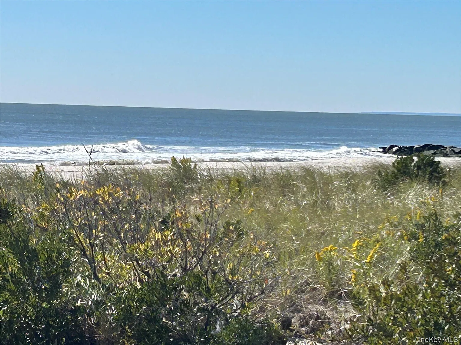 2 bed, 2.0 bath, 1050 sqft, $4,600 — Photo 3