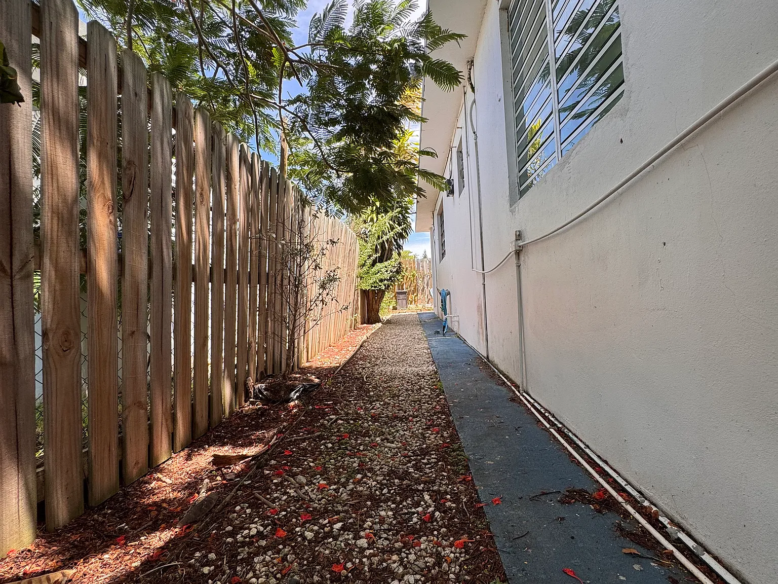 Studio, 250 sqft, $800 — Photo 4