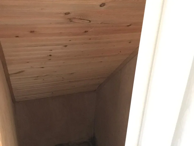 Downstairs Bedroom closet