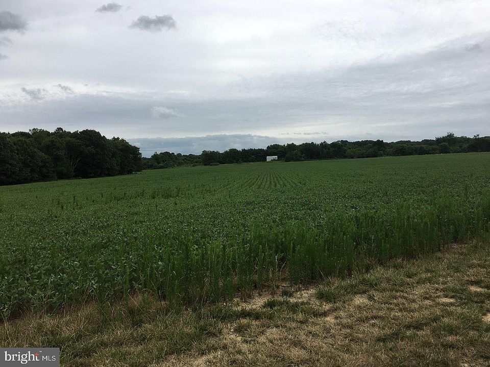 2nd image of Xxx Berlin Rd