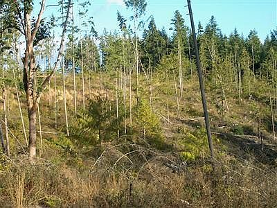 2nd image of 9109 80th Ln SE