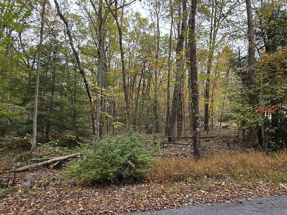 2nd image of A465 Redwood Dr