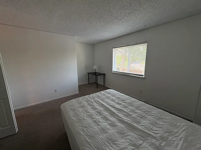 3440 Windmill Dr — Photo 10