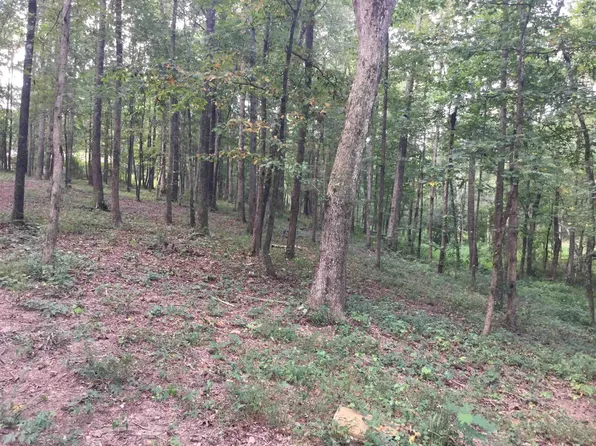 0 County Road 1693, Holly Pond, AL 35083