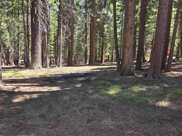 307 Raccoon Trl, Chester, CA 96020