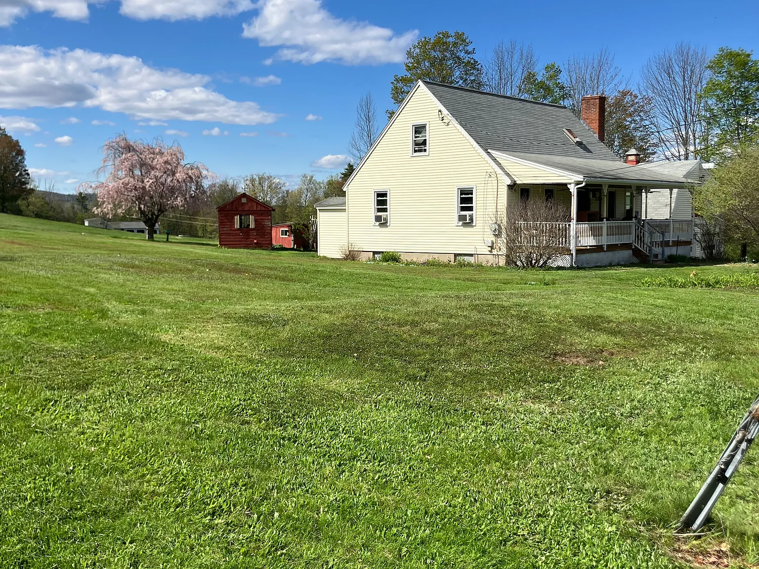 3 bed, 1.5 bath, 1404 sqft, $3,100 — Photo 3