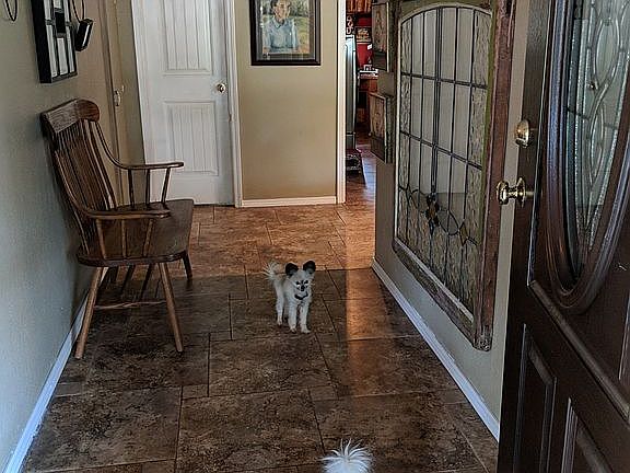 4th image of 4018 Sierra Ln