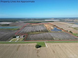 0 Highway 99, Mc David, FL 32568