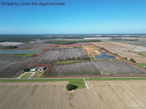 0 Highway 99, Mc David, FL 32568