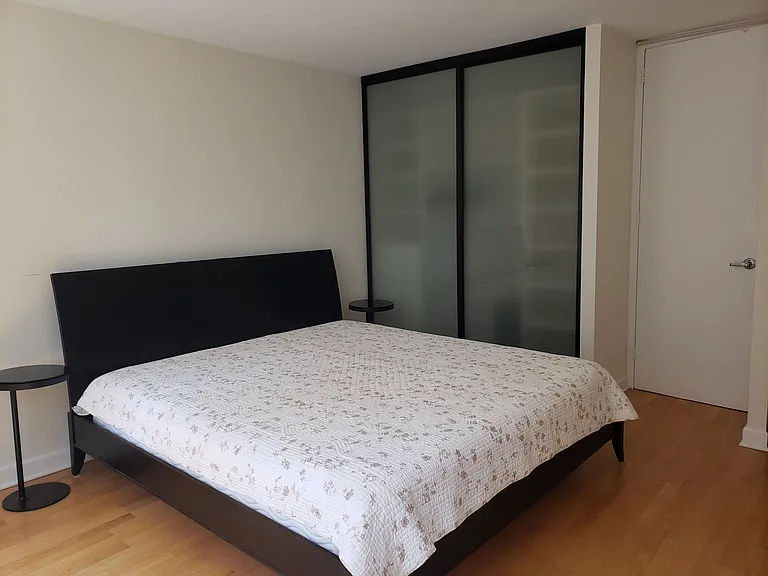 535 N Michigan Ave #1508 — Photo 21