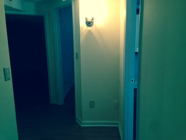 2 bed, 726 sqft, $1,095 — Photo 4