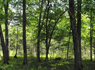 Reed Schoolhouse Rd, Sevierville, TN 37876