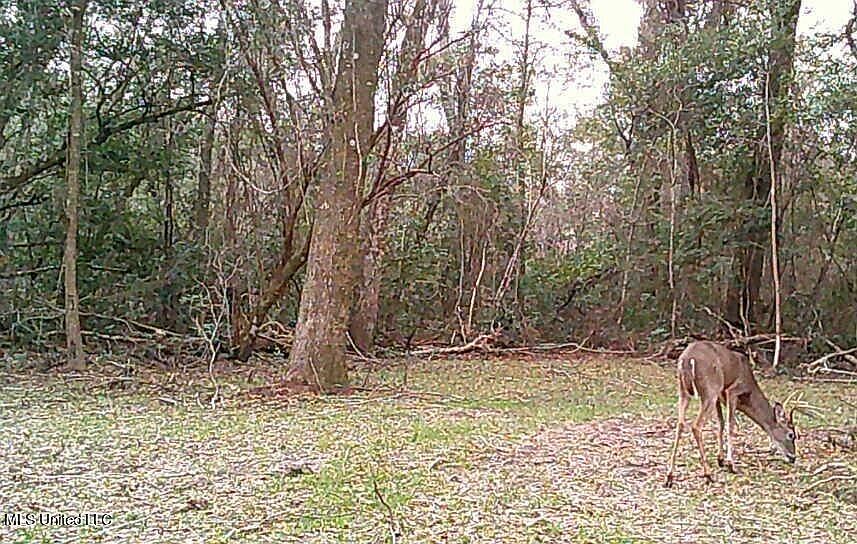 15920 E Wortham Rd, Biloxi, MS 39532 MLS 4059987 Zillow