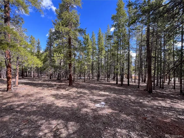 30336 National Forest Drive LOT 21, Buena Vista, CO 81211