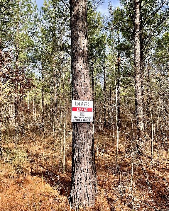 2nd image of 743 Timber Creek Trl