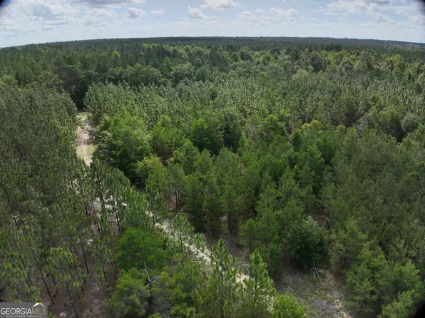 0 Drew Bennett Rd, Midville, GA 30441
