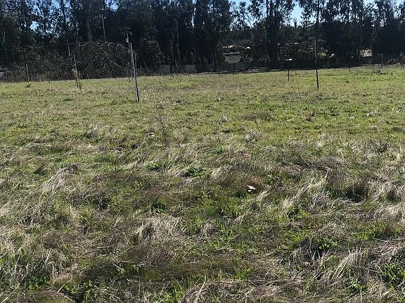 4th image of 765 Country Wood Ln