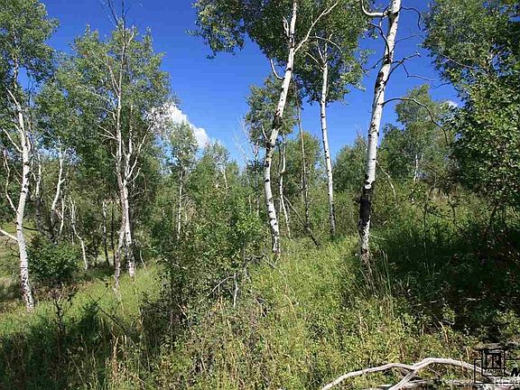 3rd image of 31130 Corral Dr