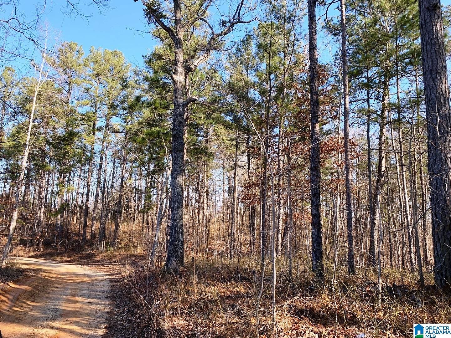 County Road 214, Fruithurst, AL 36262 Zillow