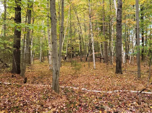 Springwood Dr, Prudenville, MI 48651