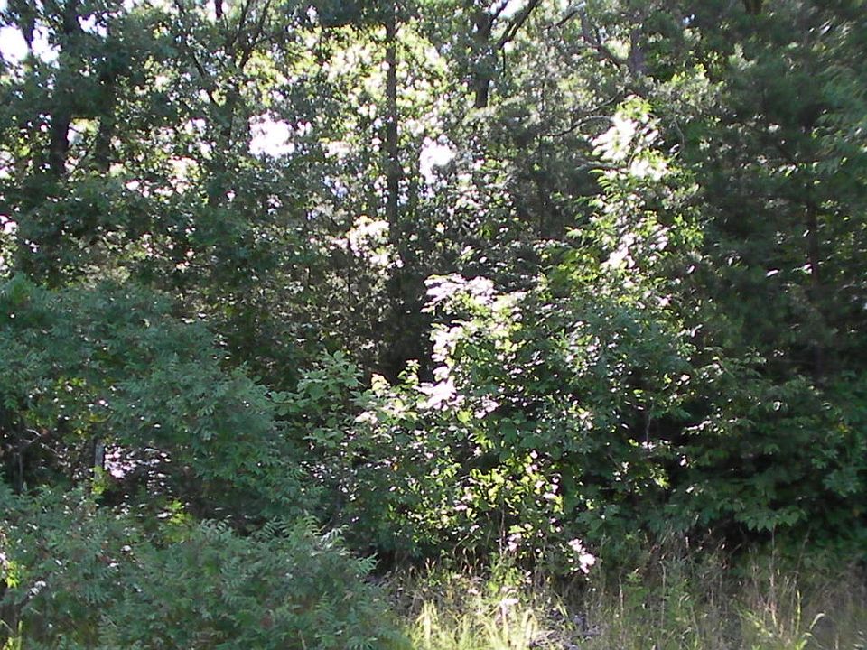 1st image of 236 Katherine Dr