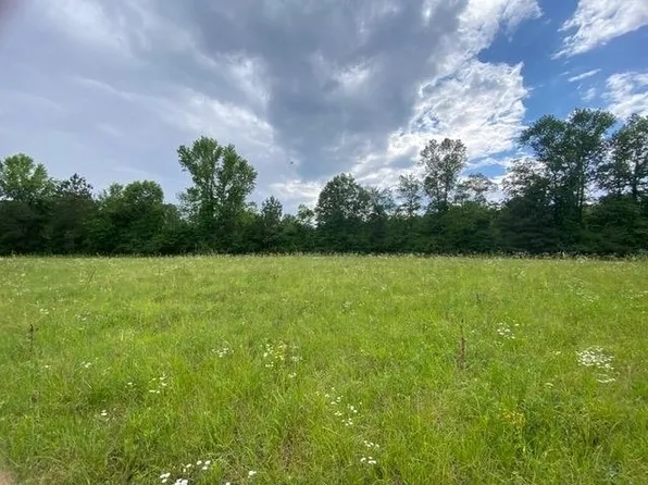 207 Smith Chapel Rd, Musella, GA 31066