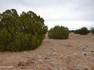 28 T14n R17e W2 #4, Heber, AZ 85928