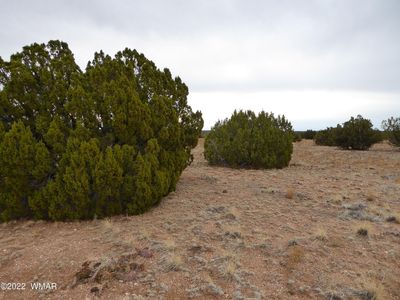 28 T14n R17e W2 #4, Heber, AZ, 85928